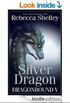 DragonBound 5: Silver Dragon
