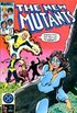 Os Novos Mutantes #13 (1984)