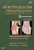 The Netter Collection of Medical Illustrations: Musculoskeletal System, Volume 6, Part II - Spine and Lower Limb E-Book (Netter Green Book Collection) (English Edition)