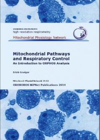 Mitochondrial Pathways and Respiratory Control