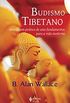Budismo Tibetano: Abordagem prtica de seus fundamentos para a vida moderna
