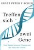 Treffen sich zwei Gene: Vom Wandel unseres Erbguts und der Natur des Lebens (German Edition)