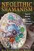 Neolithic Shamanism: Spirit Work in the Norse Tradition (English Edition)