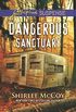 Dangerous Sanctuary (FBI: Special Crimes Unit Book 3) (English Edition)