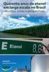Quarenta anos de etanol em larga escala no Brasil