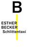 Schlittentaxi (German Edition)