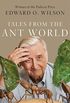 Tales from the Ant World (English Edition)