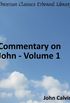 Commentary on John - Volume 1