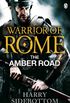 Warrior of Rome VI: The Amber Road (English Edition)