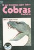 O que Devemos Saber Sobre Cobras Brasileiras