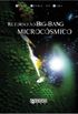 Retorno ao Big-Bang Microcsmico