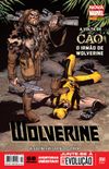 Wolverine (Nova Marvel)