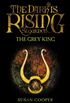 The Grey King (The Dark Is Rising) (English Edition)