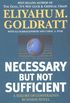 Necessary But Not Sufficient: A Theory of Constraints Business Novel