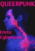 Queerpunk: Erotic Cyberpunk (English Edition)