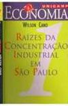 Razes da Concentrao Industrial em So Paulo