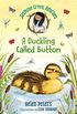 Jasmine Green Rescues: A Duckling Called Button (English Edition)