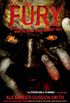 The Fury (English Edition)