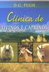 Clinica De Ovinos E Caprinos
