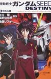 Mobile Suit Gundam Seed Destiny Vol.1: Angry Eyes