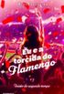 Eu e a torcida do Flamengo 7- Incio do segundo tempo