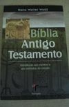 Bblia Antigo Testamento