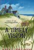A Timely Vision (A Missing Pieces Mystery Book 1) (English Edition)