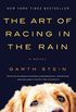 The Art of Racing in the Rain