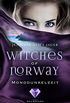 Witches of Norway 3: Monddunkelzeit (German Edition)