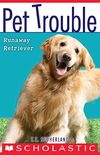 Pet Trouble #1: Runaway Retriever (English Edition)