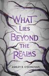 What Lies Beyond the Realms