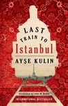 Last train to Istanbul