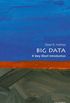 Big Data: a Very Short Introduction