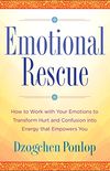 Emotional Rescue: How to Work with Your Emotions to Transform Hurt and Confusion into Energy That Empowers You (English Edition)