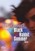 Black Rabbit Summer: Roman (German Edition)