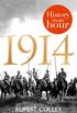1914: History in an Hour (English Edition)