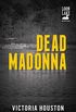 Dead Madonna (Loon Lake Mystery Book 8) (English Edition)