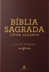 Bblia Sagrada - Leitura Perfeita - NVI - Letra Gigante - Couro Marrom