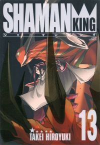 Shaman King Kanzenban #13