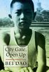 City Gate, Open Up (English Edition)