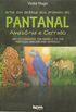 Arte em defesa dos animais do Pantanal, Amaznia e Cerrado