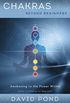 Chakras Beyond Beginners: Awakening to the Power Within (Beyond Beginners Series Book 1) (English Edition)