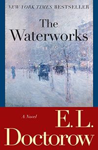 The Waterworks: A Novel (English Edition)