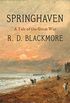 Springhaven: A Tale of the Great War (English Edition)
