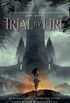 Trial by Fire (The Worldwalker Trilogy Book 1) (English Edition)
