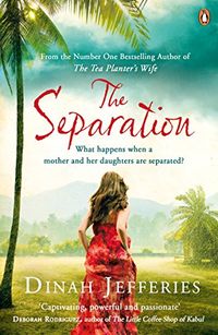 The Separation (English Edition)