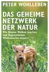 Das geheime Netzwerk der Natur: Wie Bume Wolken machen und Regenwrmer Wildschweine steuern (German Edition)