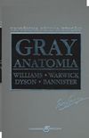 Gray Anatomia