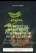 28 PLANTAS MEDICINAIS COMPROVADOS PELA CINCIA
