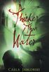 Thicker Than Water (English Edition)